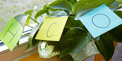 For instance, the water in a fish tank would be marked with a two H’s and an O For instance, the water in a fish tank would be marked with a two H’s and an O