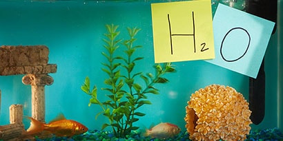 Learn about chemical elements with Post-it® Super Sticky Notes. Learn about chemical elements with Post-it® Super Sticky Notes.